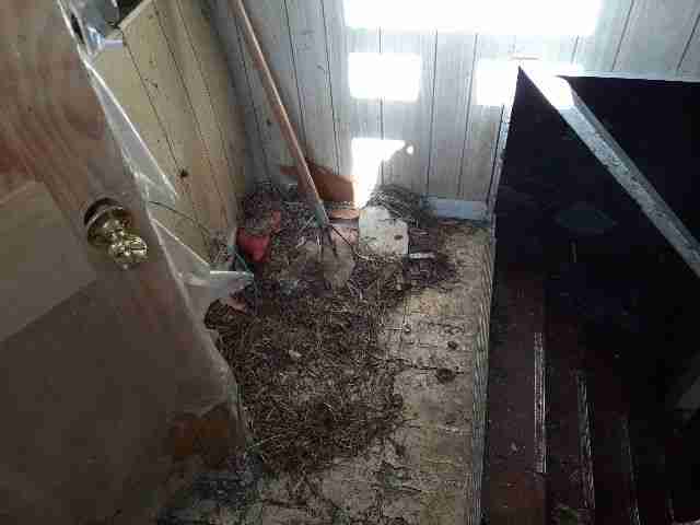 Testing again(28).jpg